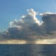 8- Grains a l'horizon 